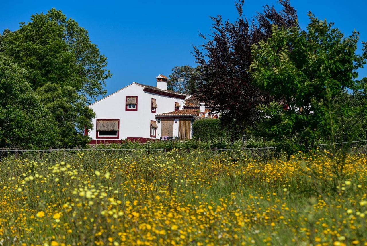 فندق Quinta Da Dourada بورتاليغري المظهر الخارجي الصورة